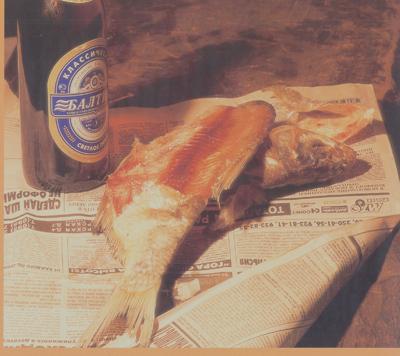 culinaria10.jpg