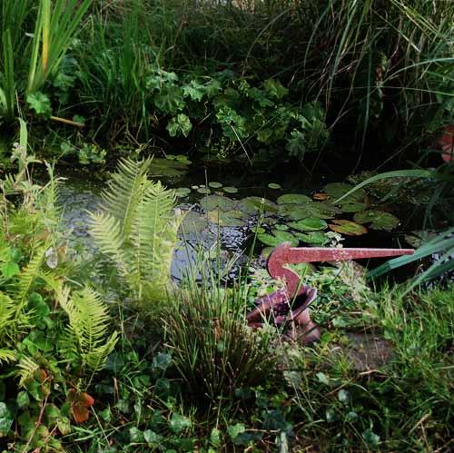 ReiherSeerosenteich-Fehngarten.jpg