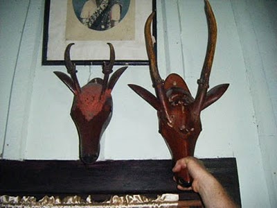 | Copyright: CFZ (cfz.co.org), forteanzoology.blogspot.com